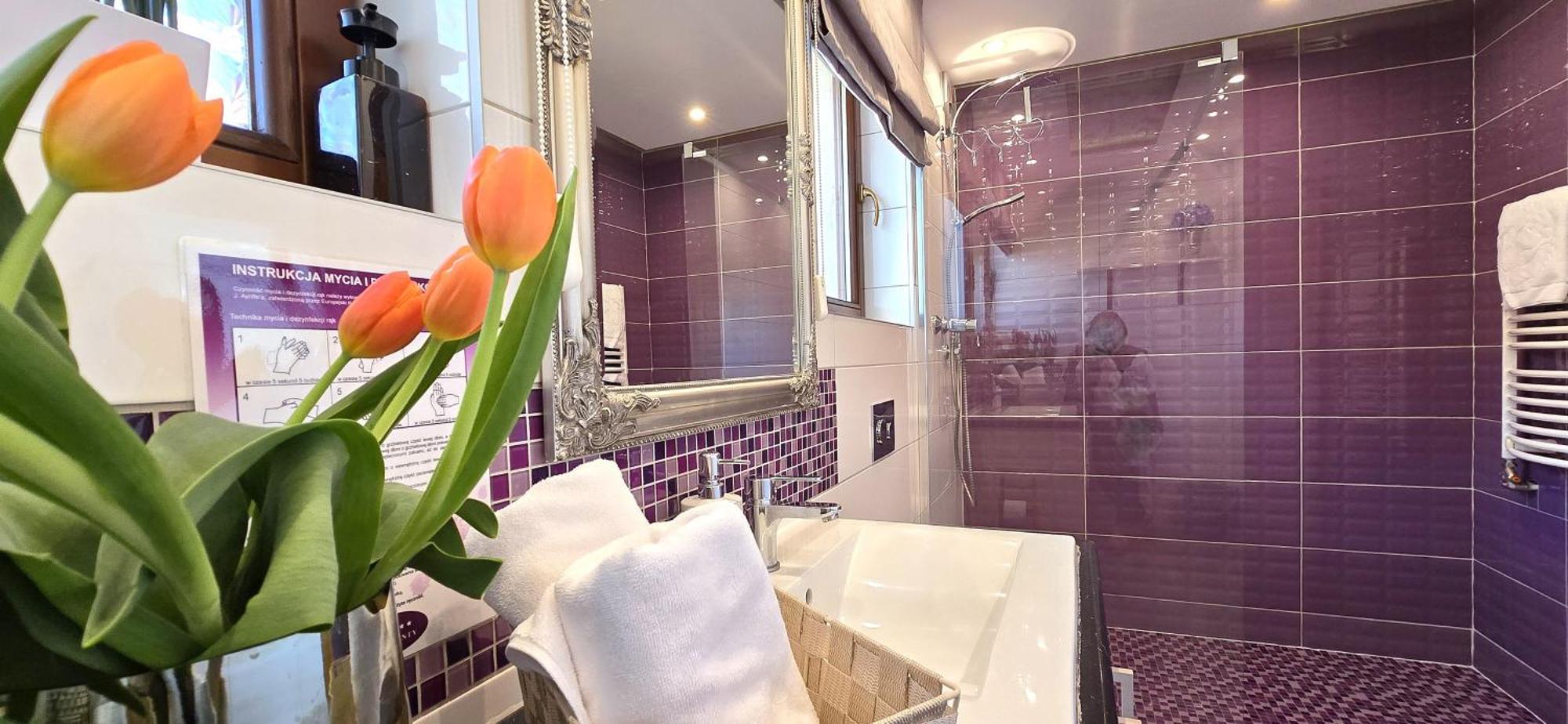 Vip Apartamenty Widokowe ザコパネ エクステリア 写真